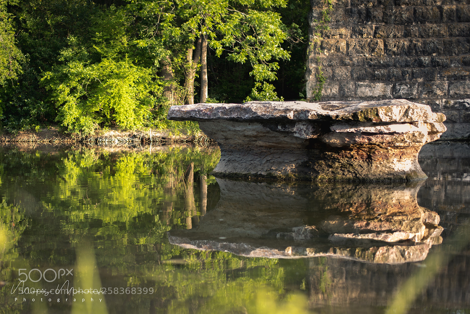 Nikon D750 sample photo. Round rock! photography