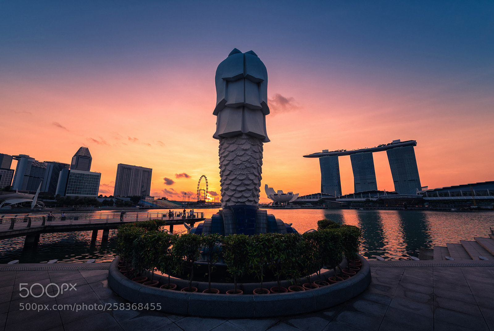 Nikon D750 sample photo. Singapore skyline and view photography