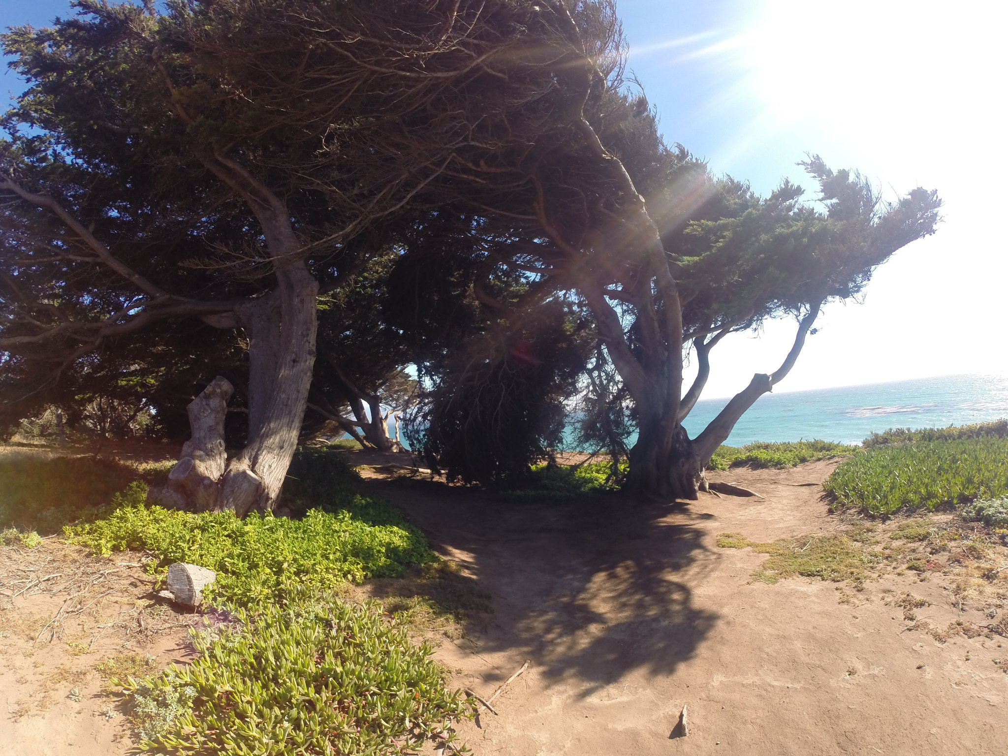 GoPro HERO3+ Black Edition sample photo. Windy photography
