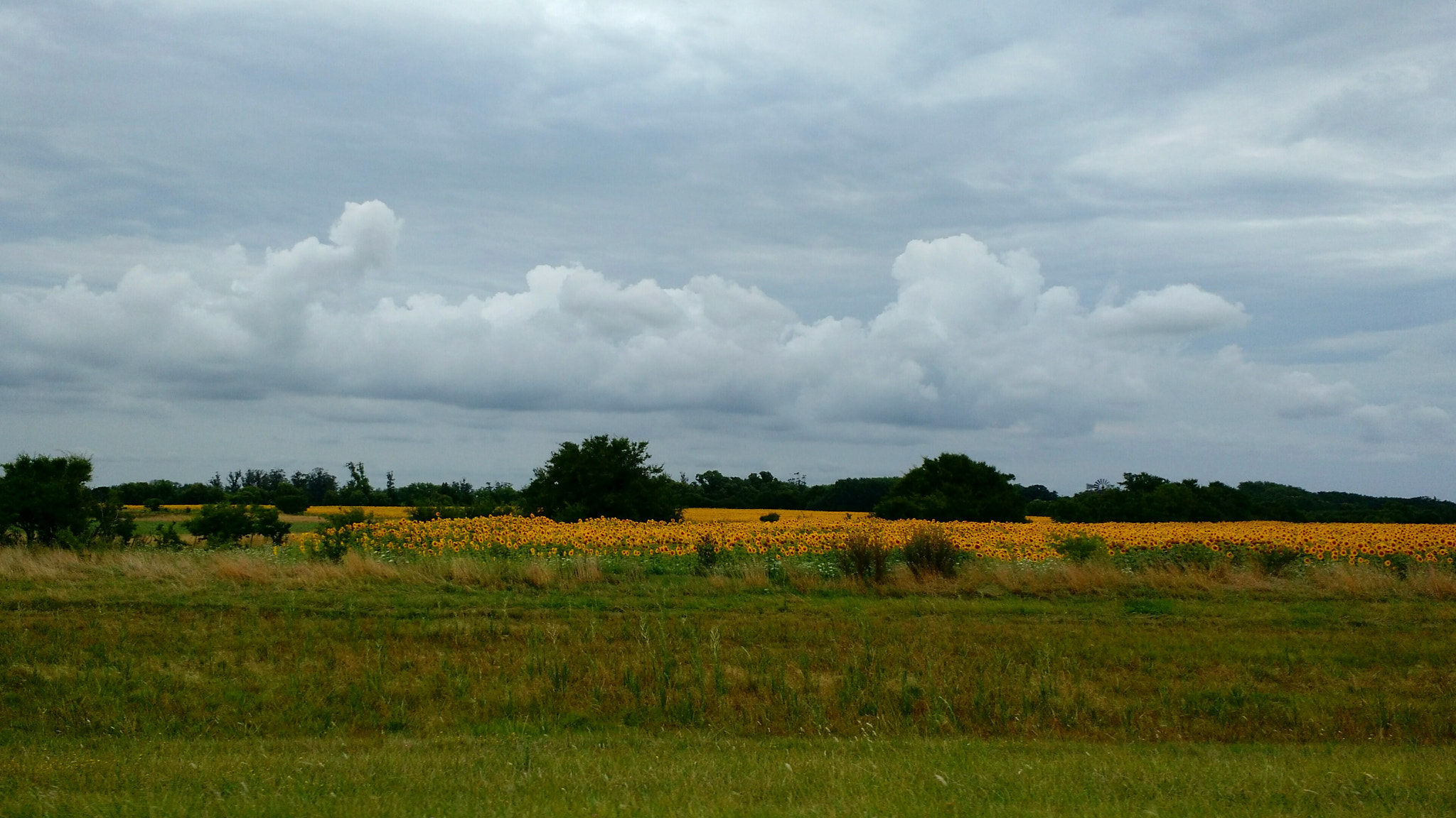 Motorola Moto X (2nd Gen) sample photo