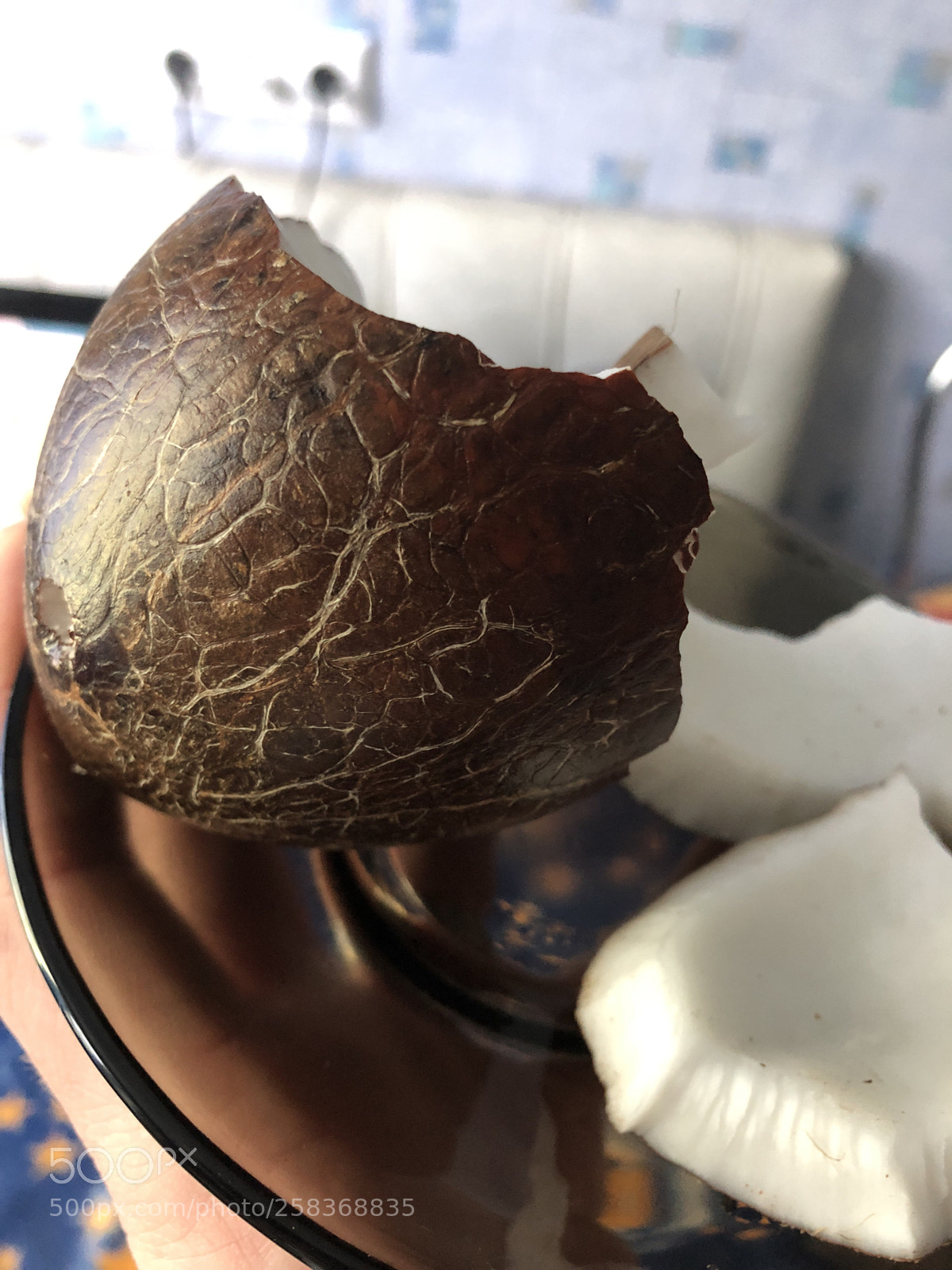 Apple iPhone X sample photo. Untitled photography