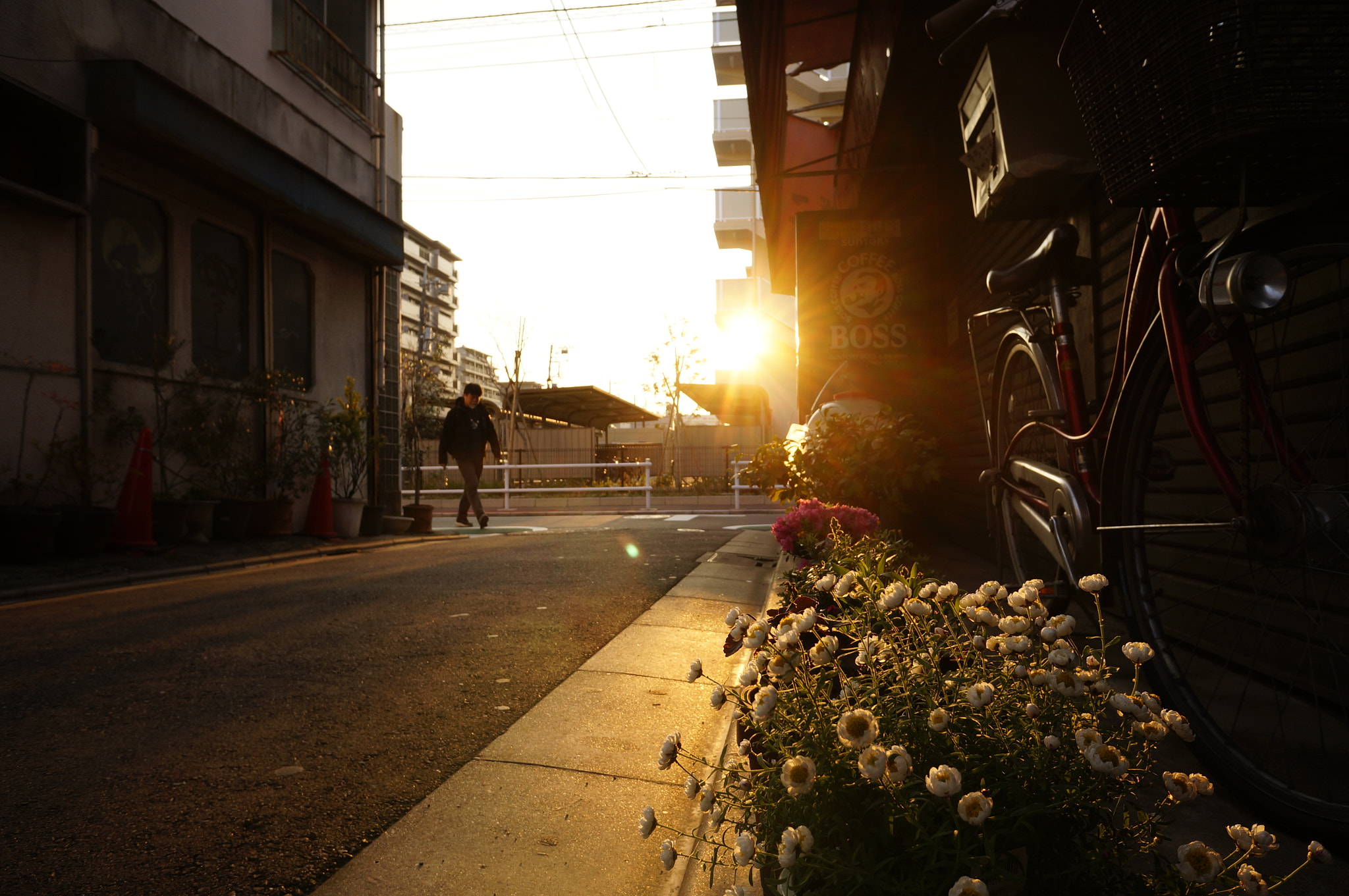 Sony Alpha NEX-5T sample photo. The morning sun photography