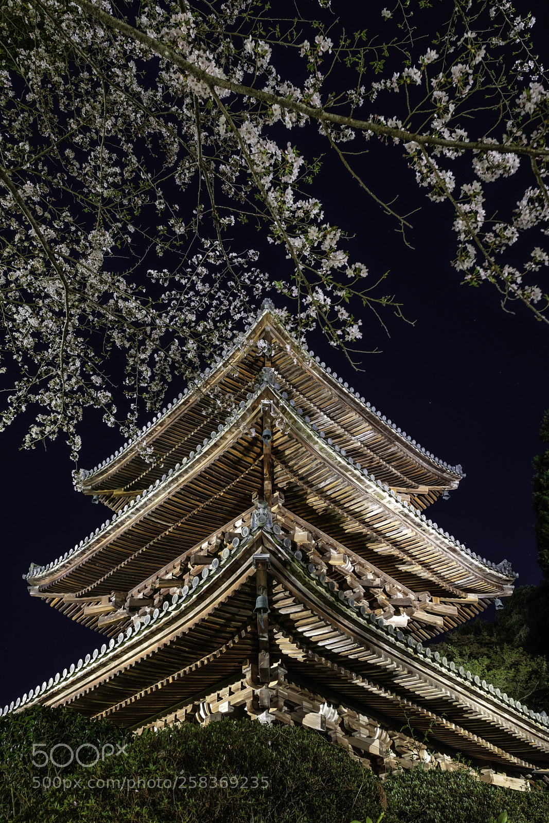 Fujifilm X-T2 sample photo. Japan-三井寺三重塔 photography