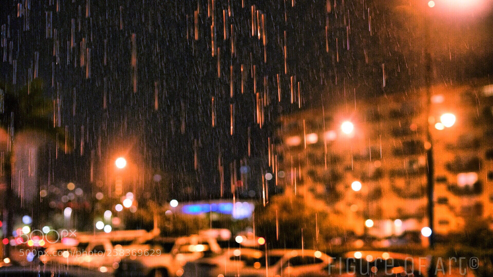 Sony a7R II sample photo. Untitled photography