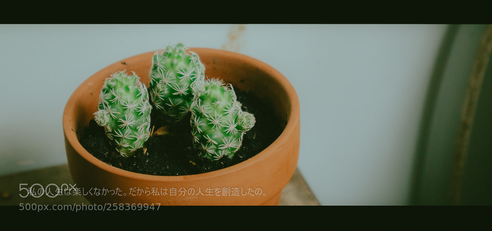 Canon EOS M10 sample photo. Green photography