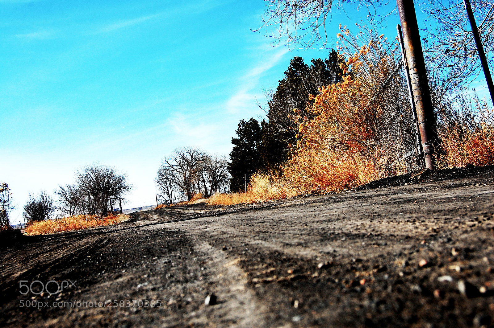 Nikon D40 sample photo. Road photography