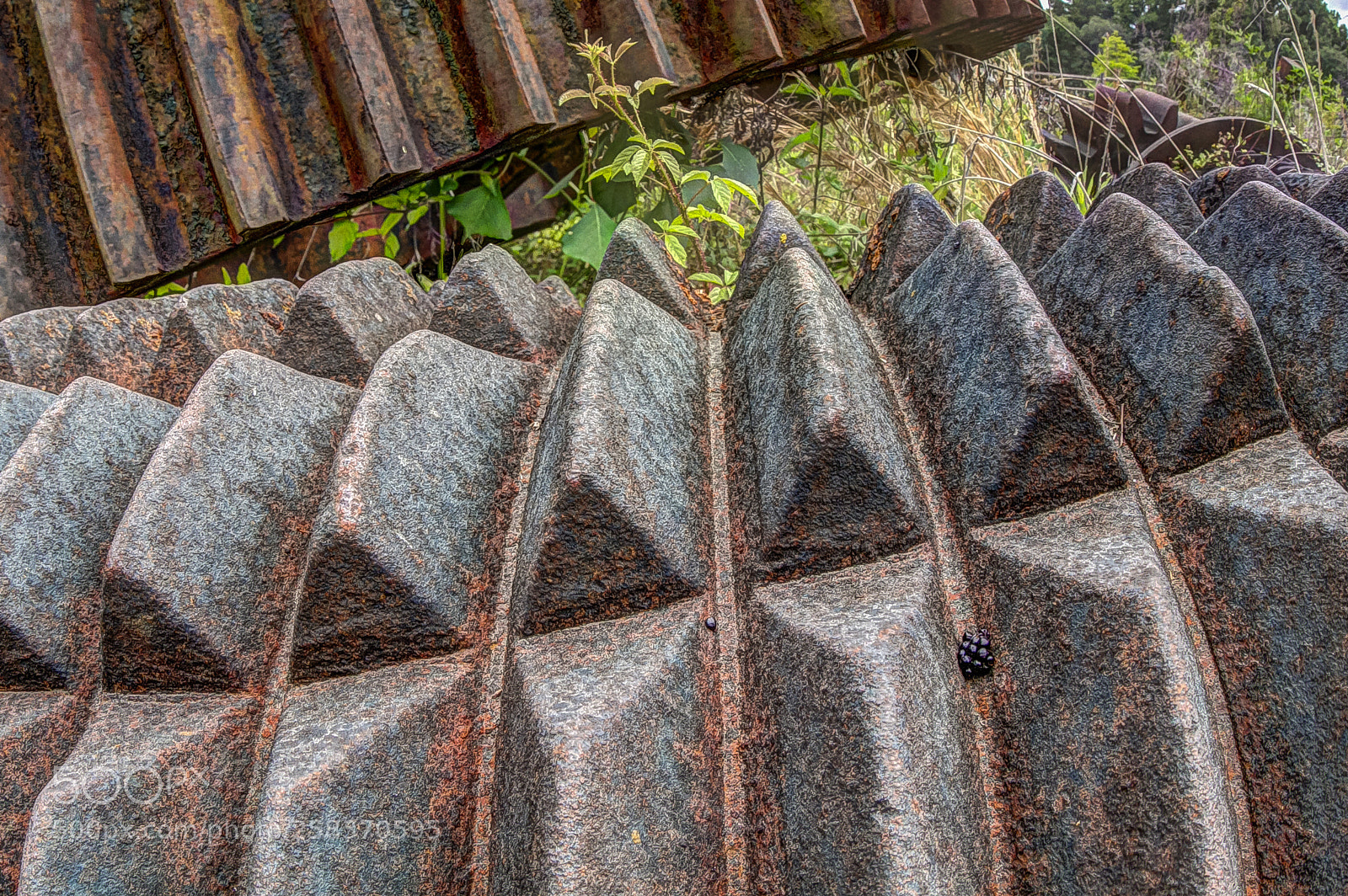Canon EOS 7D sample photo. I found your lost photography