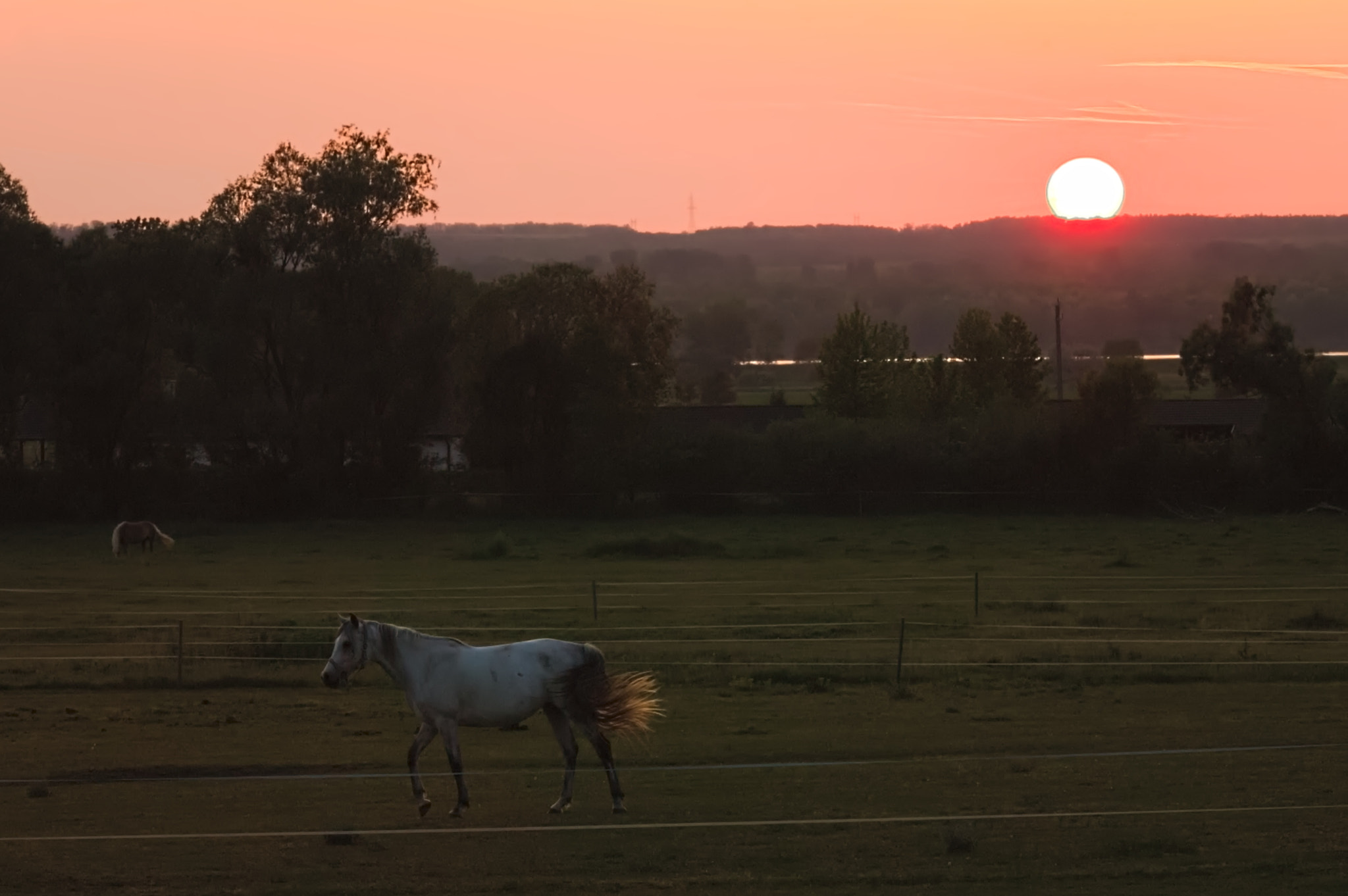 Canon EOS 1100D (EOS Rebel T3 / EOS Kiss X50) sample photo. Farm sunset photography