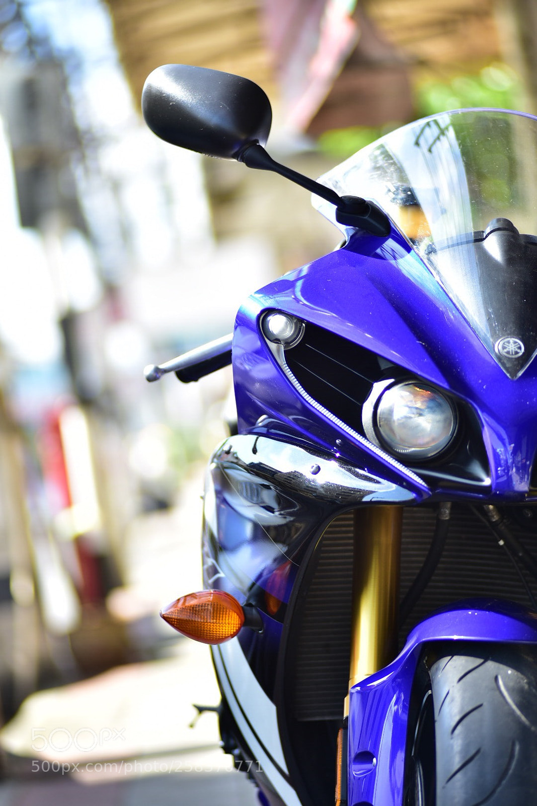 Nikon D750 sample photo. Untitled photography