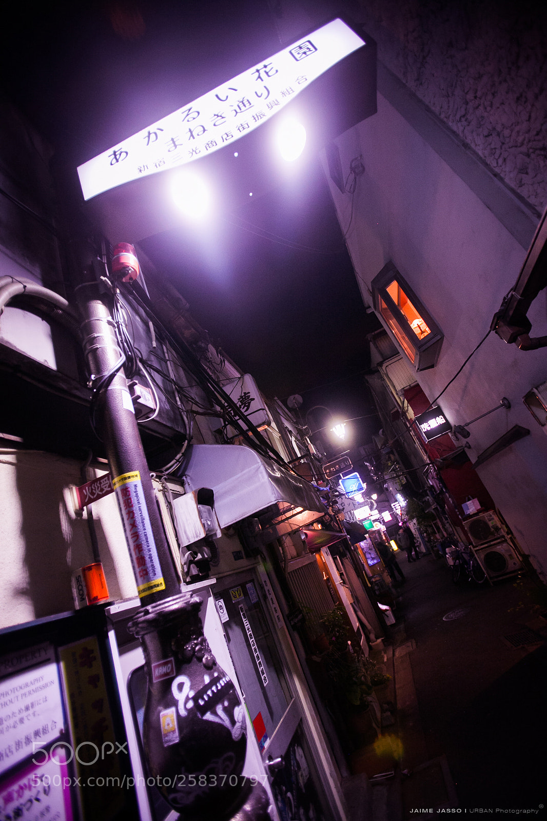 Canon EOS 5D Mark II sample photo. Img photography