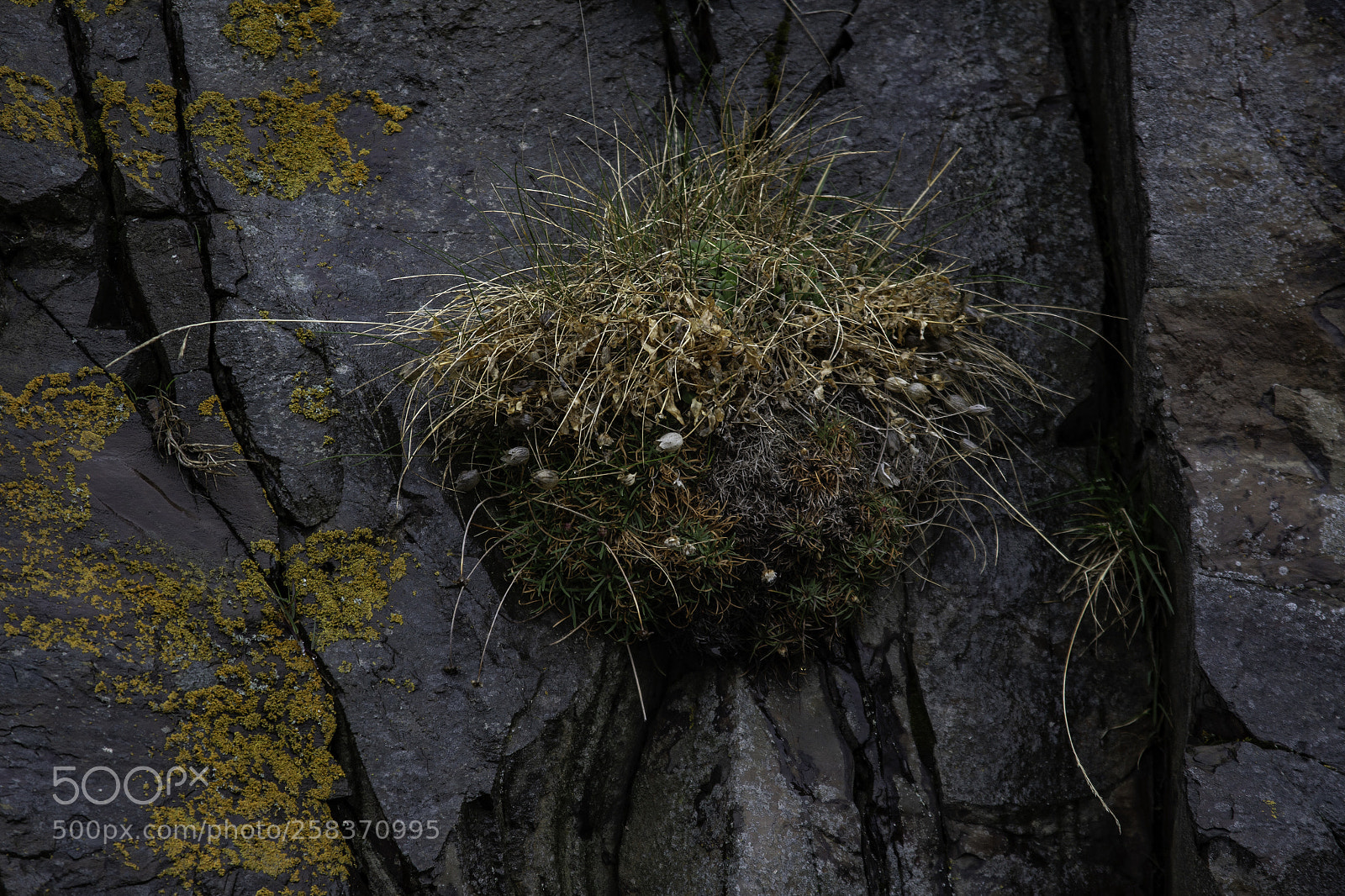 Canon EOS 6D sample photo. Life on the side photography