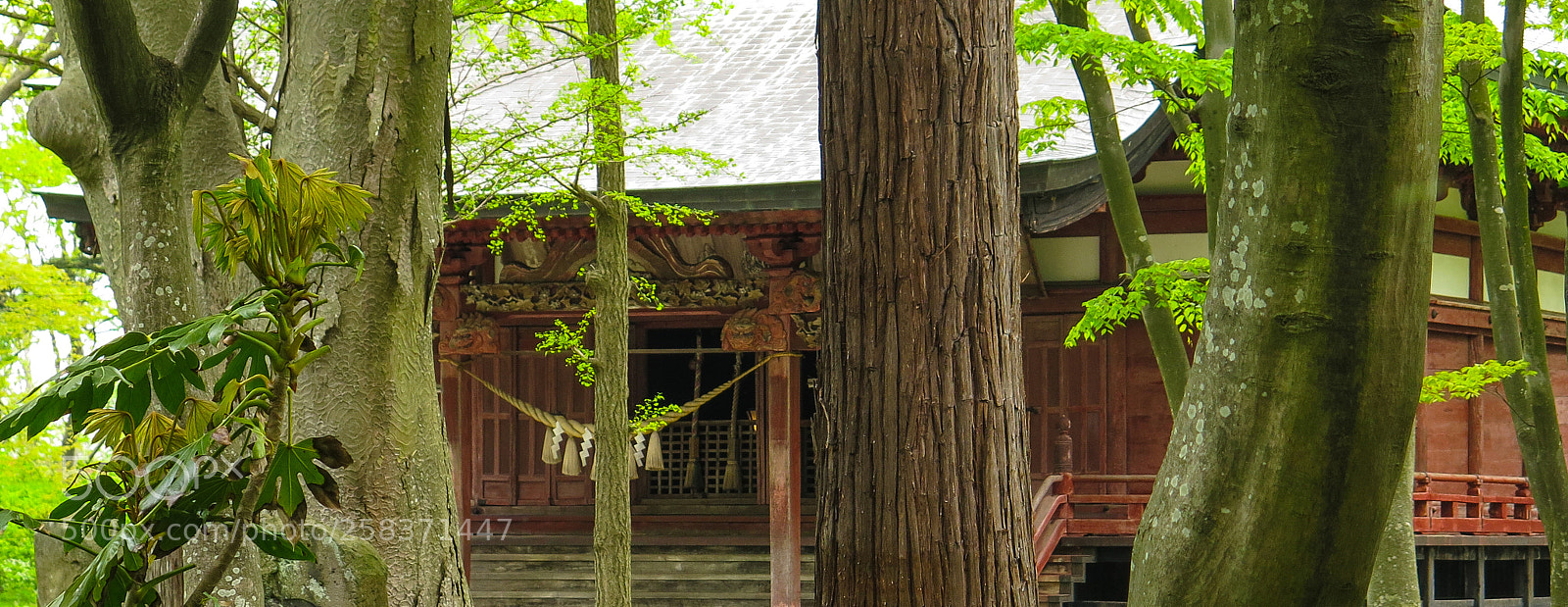 Canon PowerShot G16 sample photo. Hiehachiman shrine photography