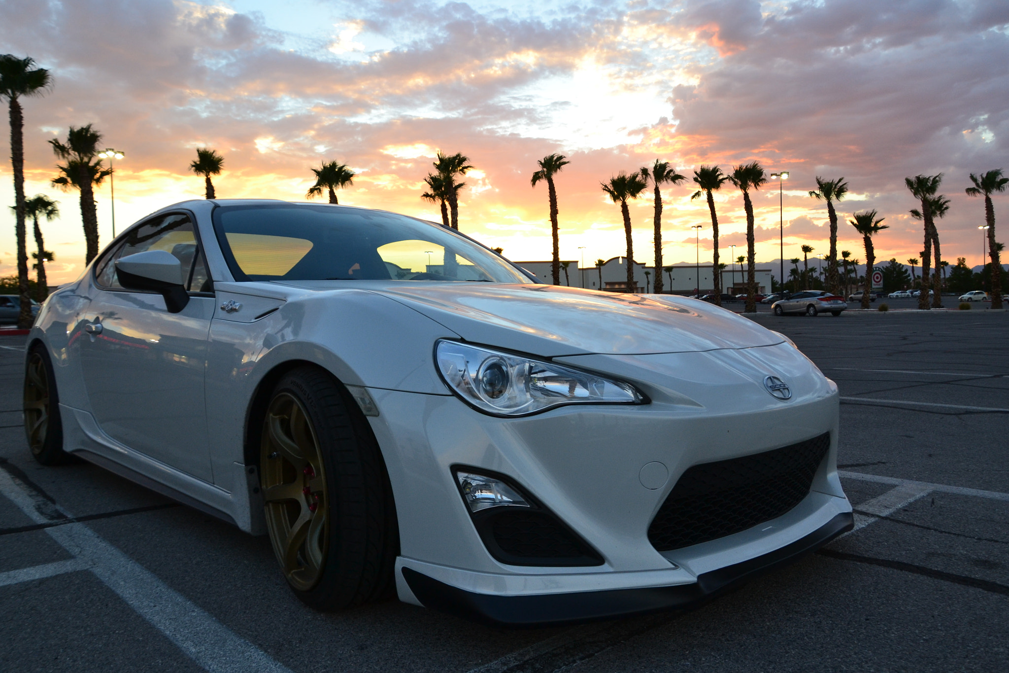 Nikon D3100 sample photo