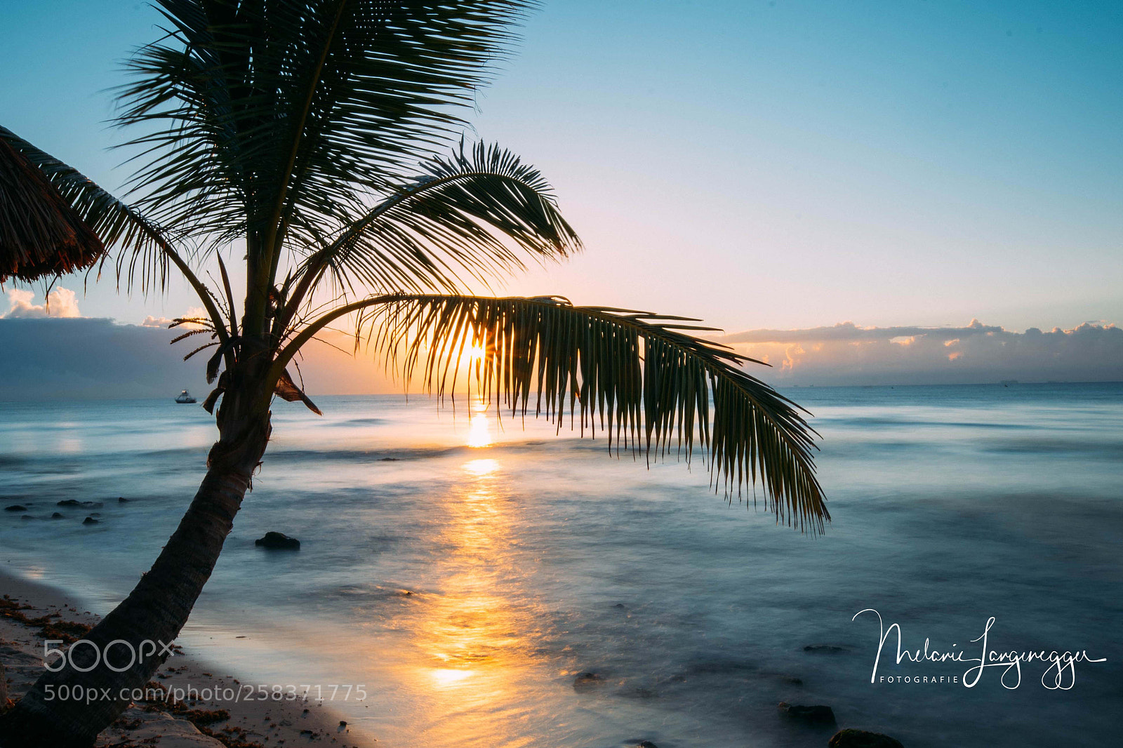 Nikon D750 sample photo. Mexico photography