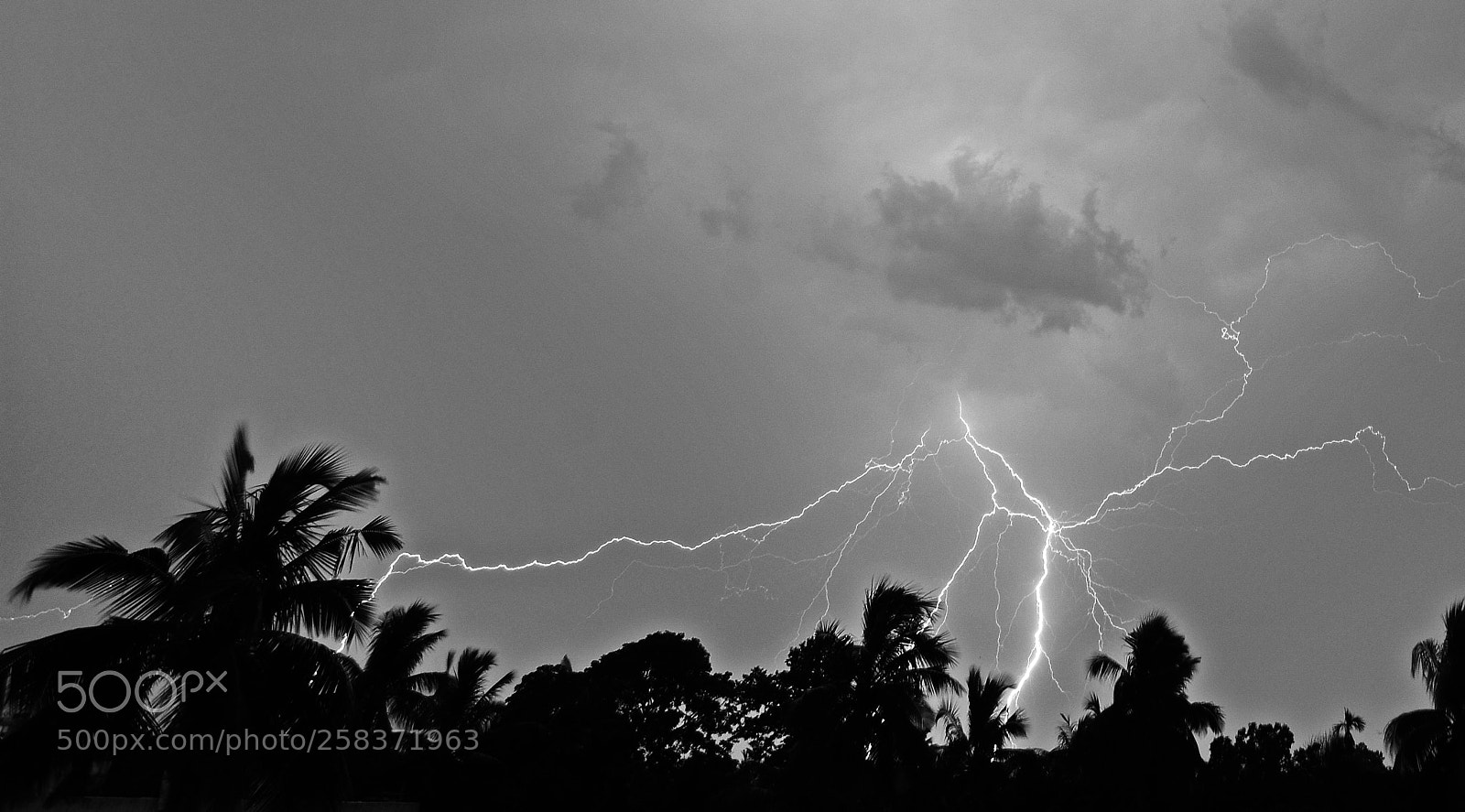 Nikon D7200 sample photo. ..... the origin of life ................. photography