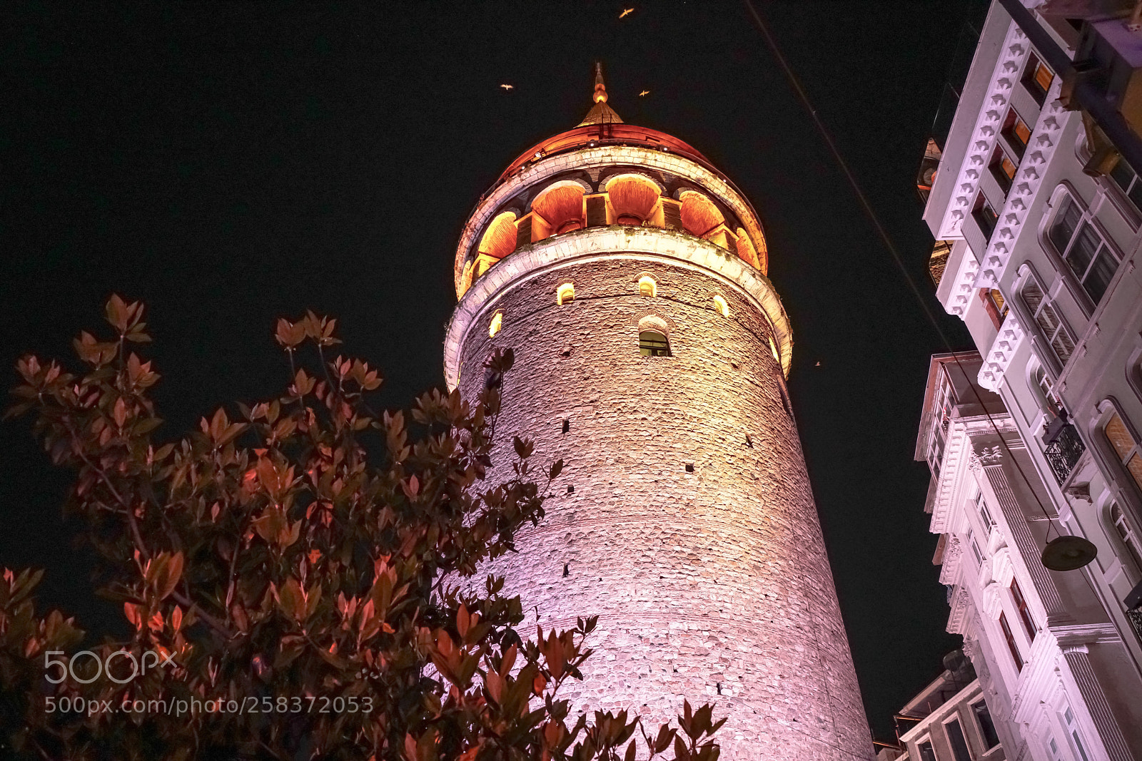 Sony a7R II sample photo. Galata tower photography