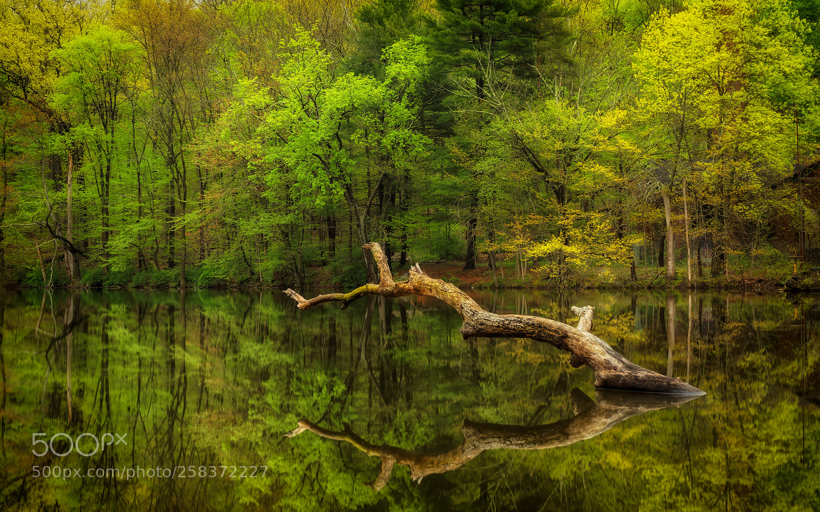 Sony a7R sample photo. Reflections photography