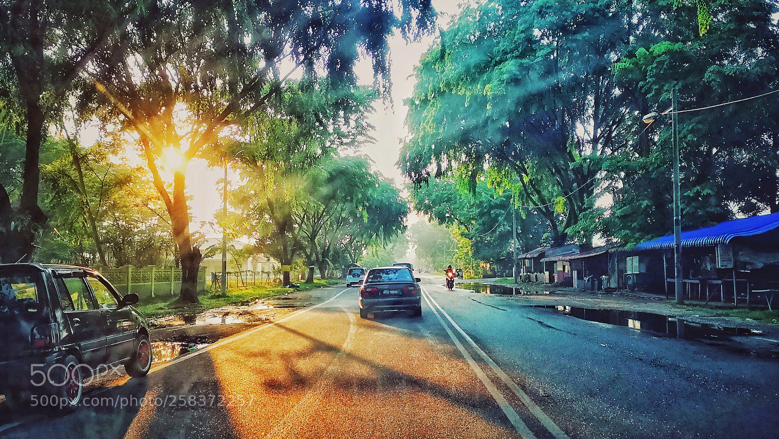 HUAWEI CLT-L29 sample photo. A beautiful morning. 美丽早晨。 photography