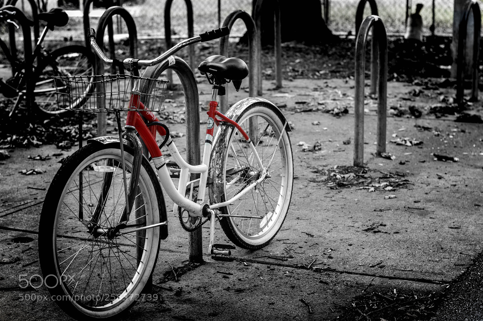 Nikon D3200 sample photo. Bicycle photography