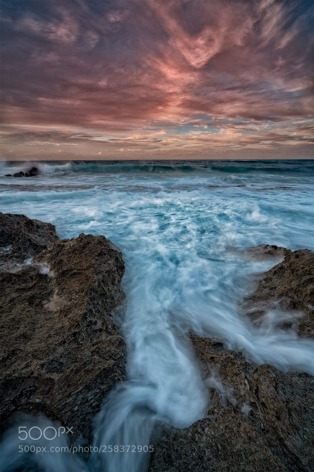 Sony a7R III sample photo. Inundate photography