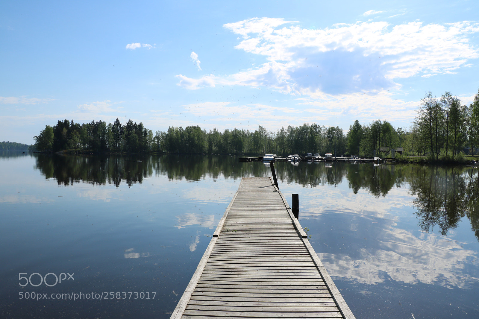Canon EOS 750D (EOS Rebel T6i / EOS Kiss X8i) sample photo. View of bridge above photography