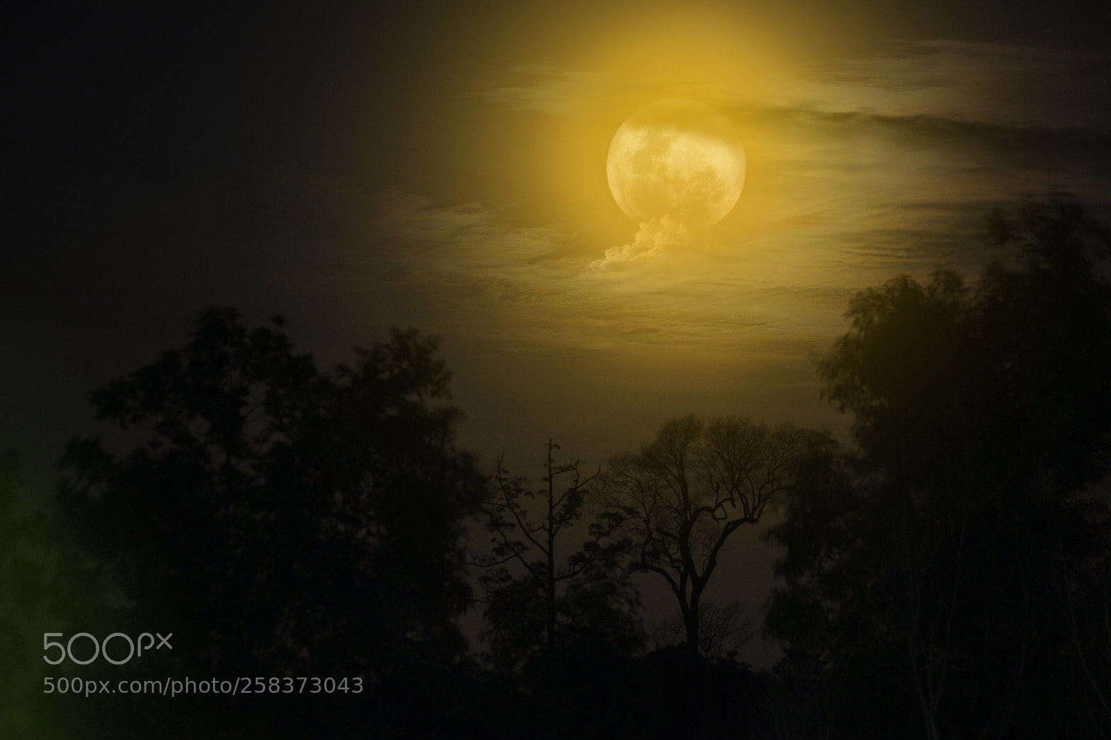 Canon EOS 600D (Rebel EOS T3i / EOS Kiss X5) sample photo. View of moon at photography