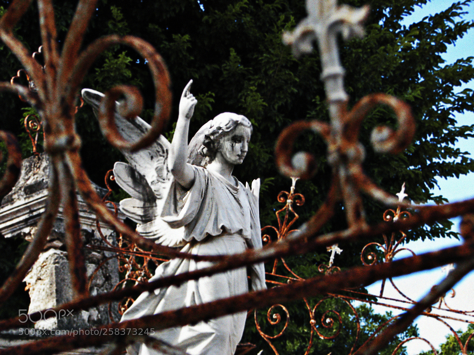 Canon POWERSHOT S5 IS sample photo. Wise man said just photography