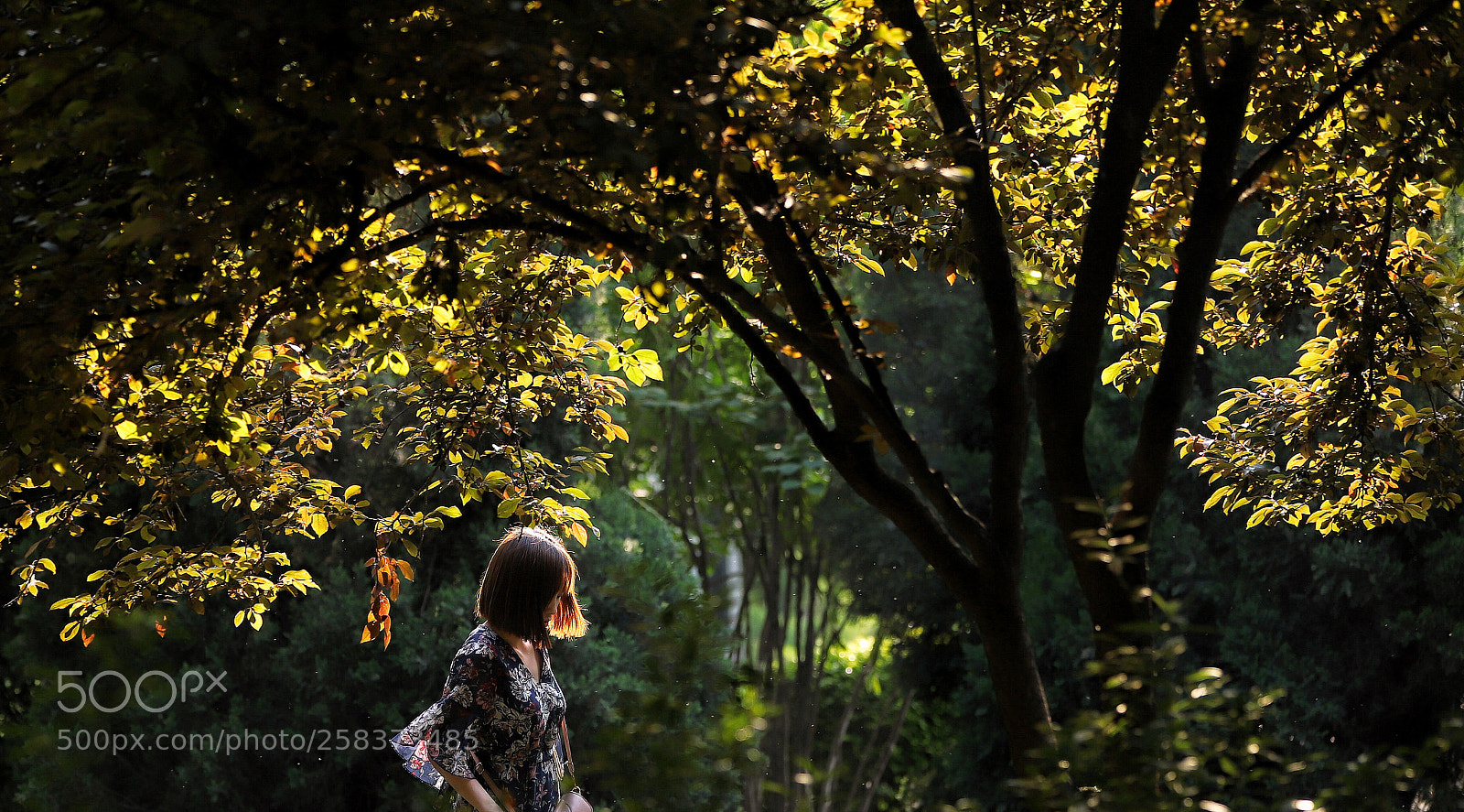 Canon EOS 6D Mark II sample photo. 她正好触碰到枝叶下的阳光 photography