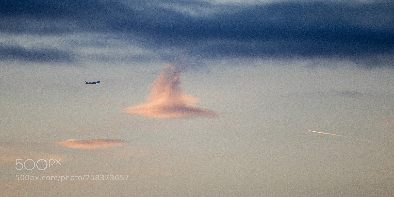 Canon EOS 80D sample photo. Dreams of icarus photography