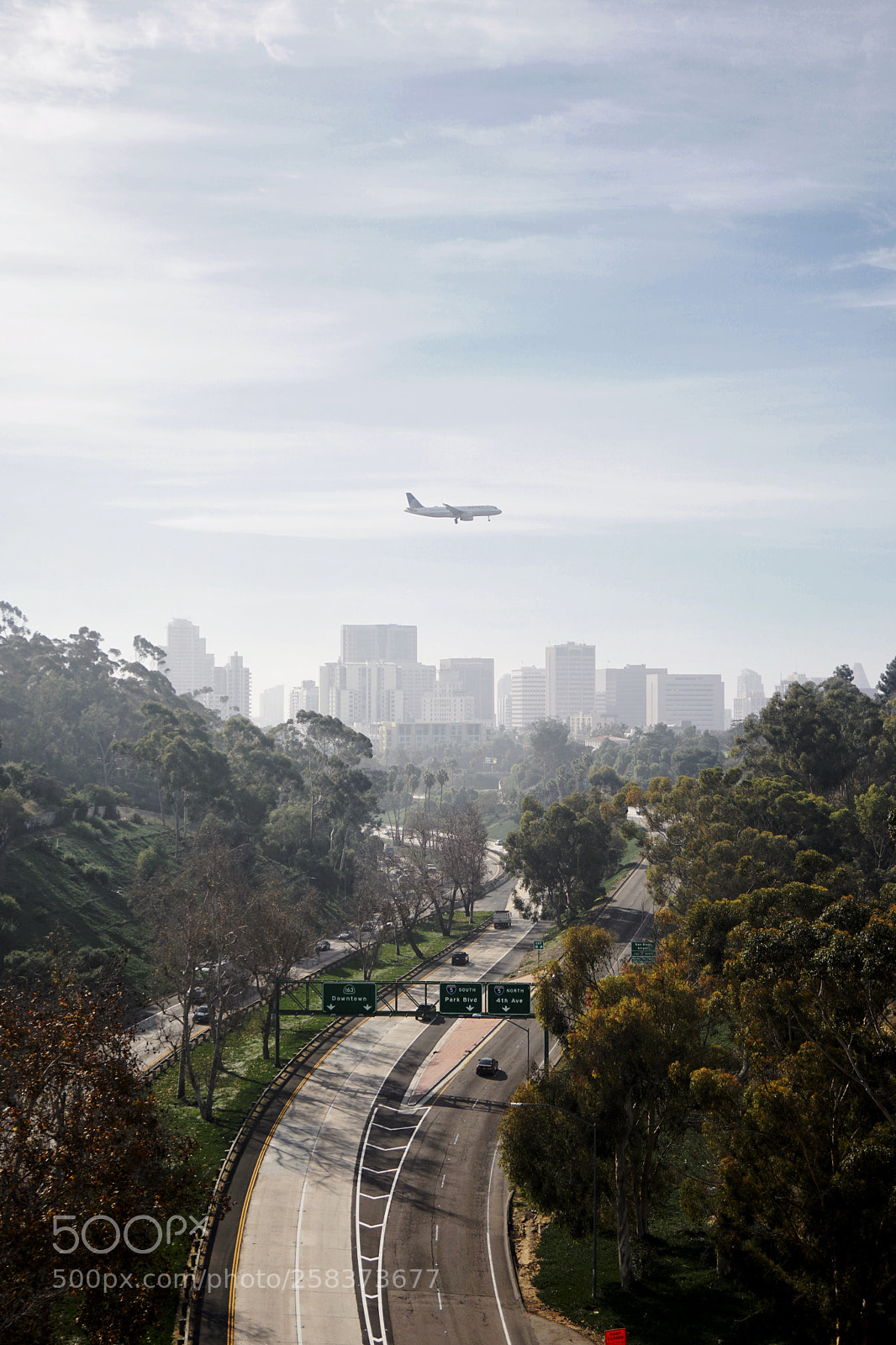 Sony a6300 sample photo. Above it all. photography