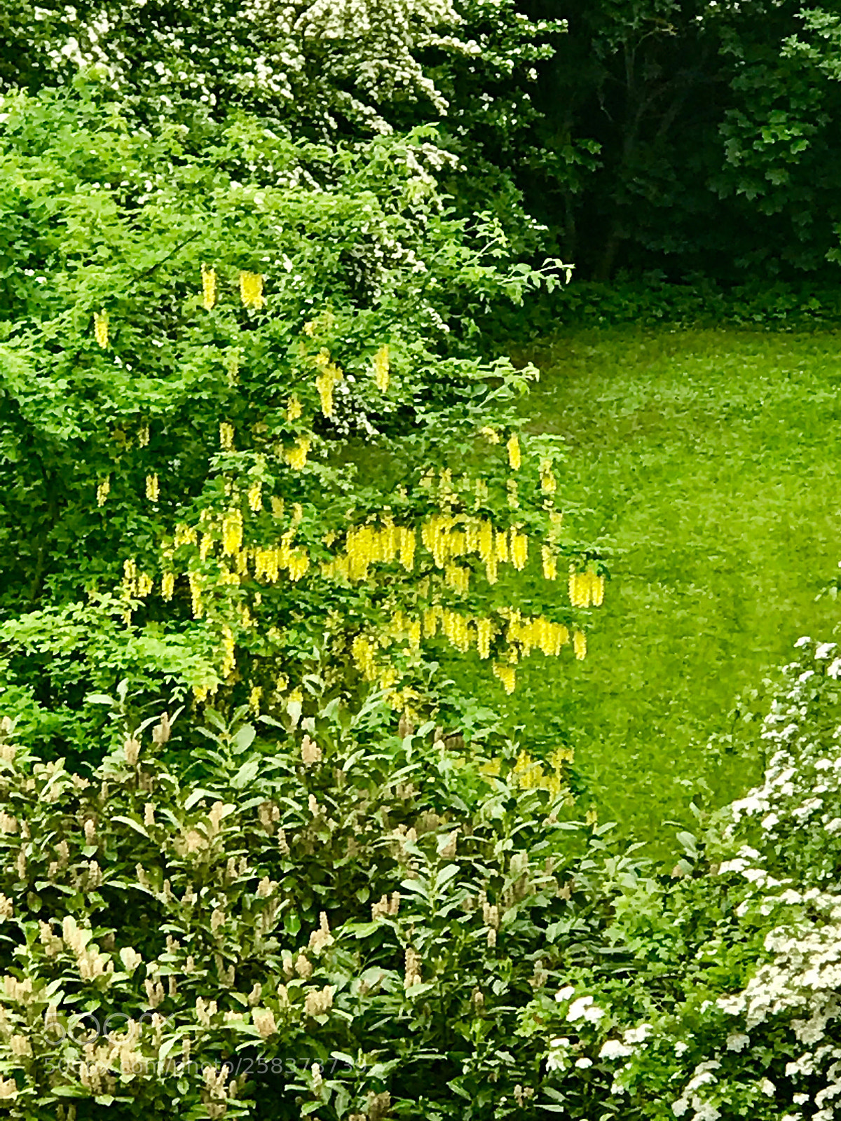 Apple iPhone 7 Plus sample photo. From my balcony photography