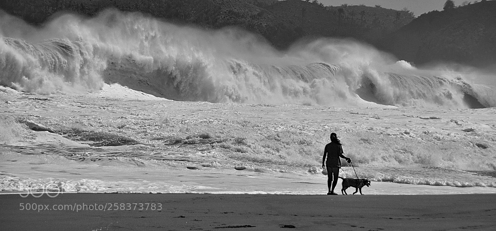 Nikon D5100 sample photo. The large wave photography