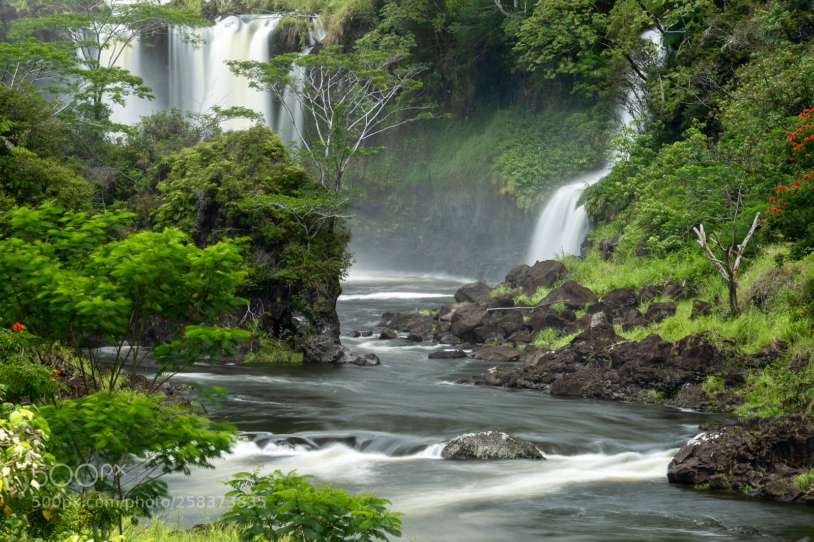 Fujifilm X-T2 sample photo. Slice of paradise photography