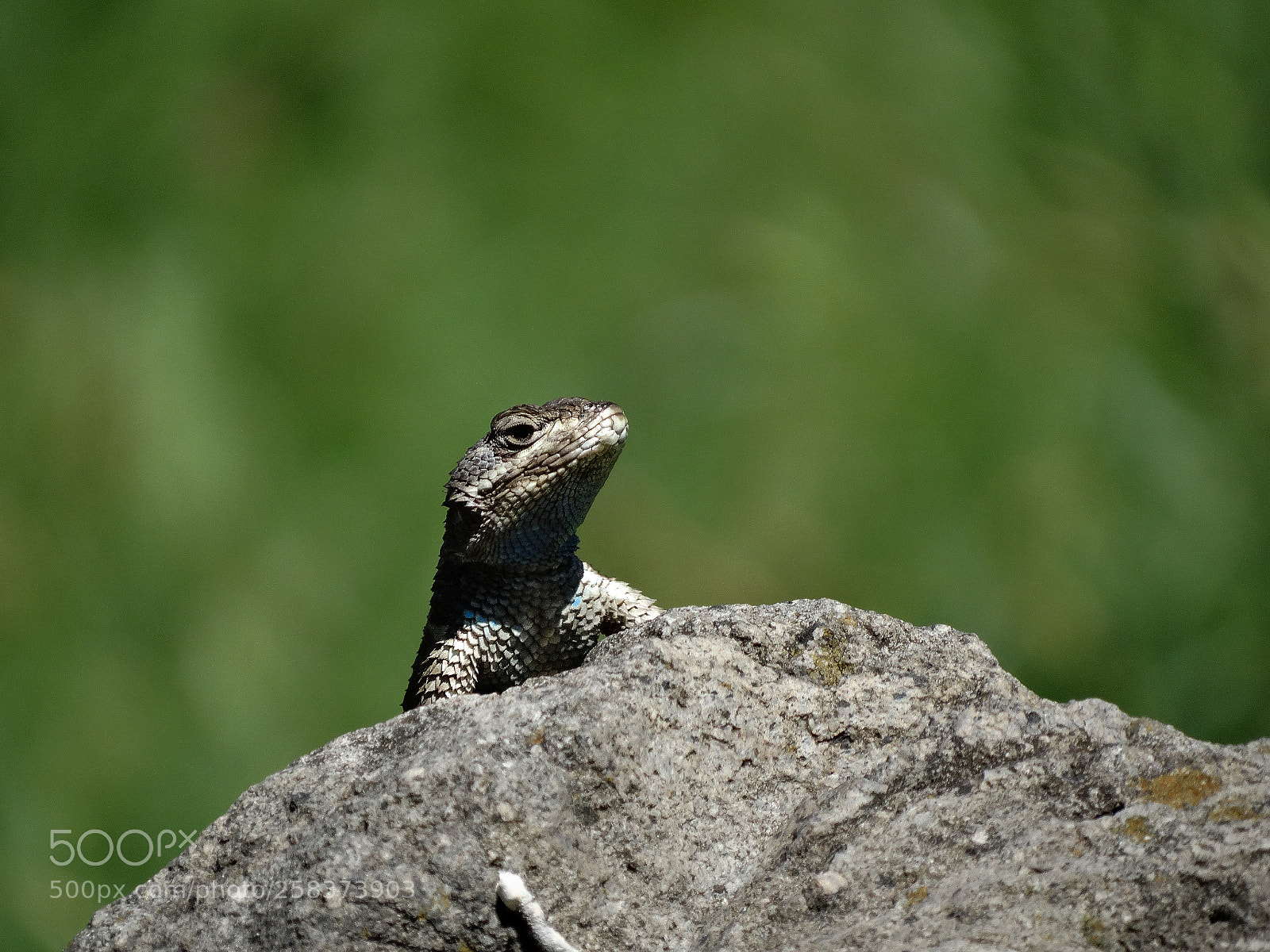 Sony Cyber-shot DSC-HX300 sample photo. Sobre roca photography