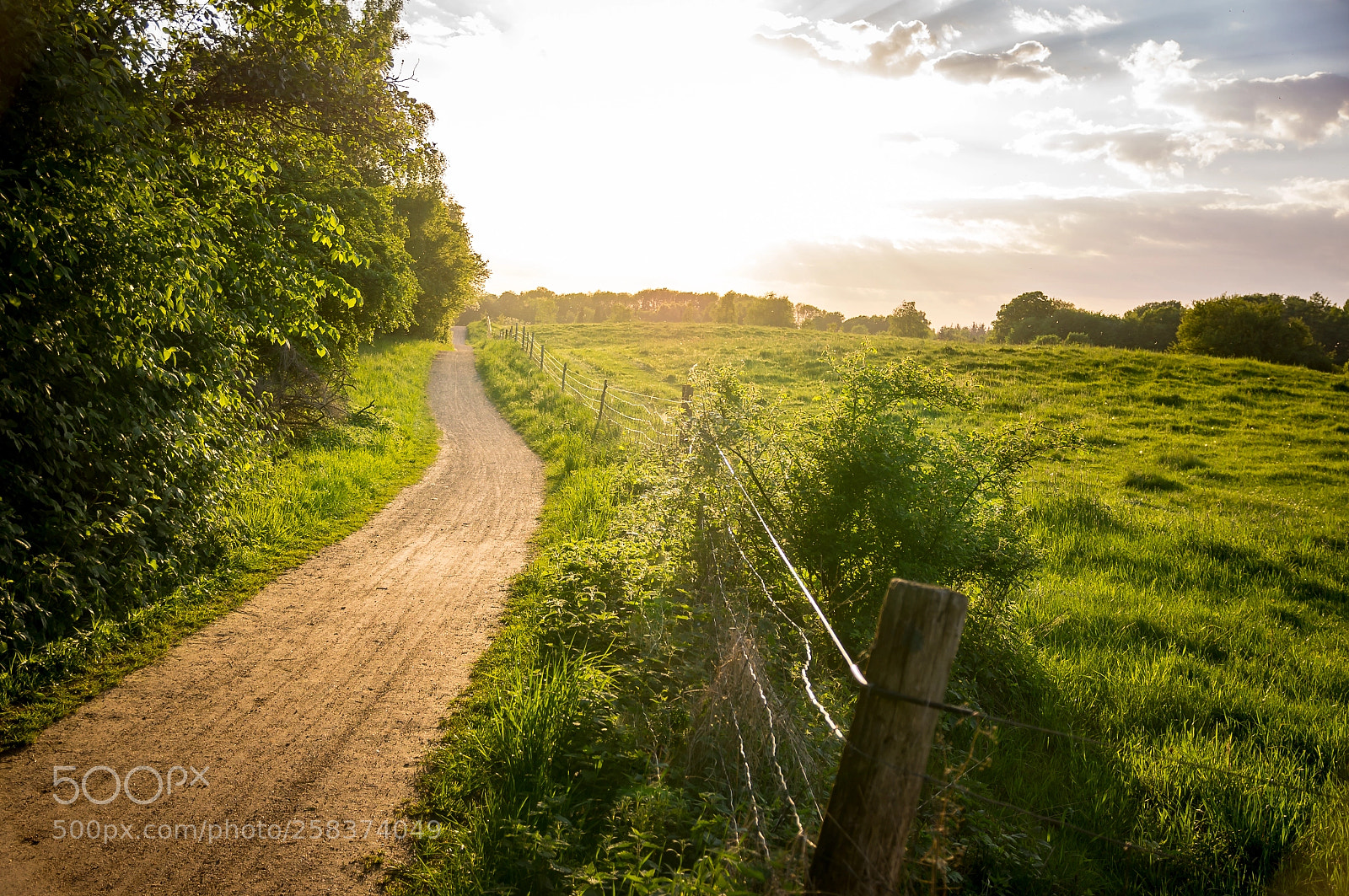 Sony SLT-A55 (SLT-A55V) sample photo. Dirtroad toward the sun photography