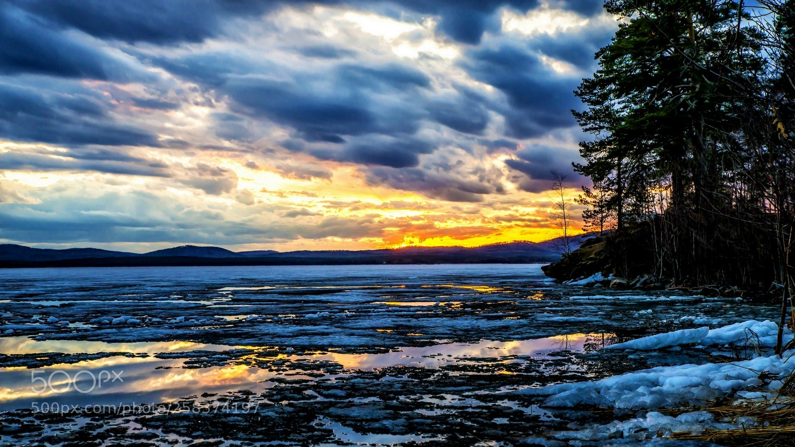 Nikon D800 sample photo. Spring evening at the photography