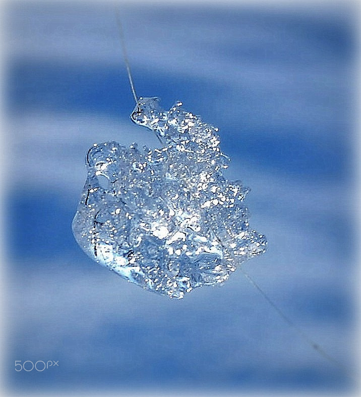 Nikon D40X sample photo. "winters juwelry" photography