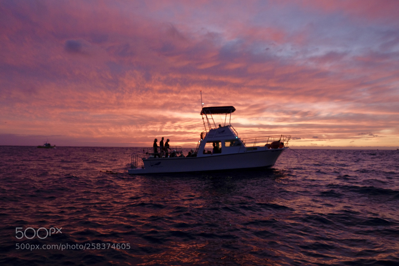 Fujifilm X-T2 sample photo. Evening with the manta photography