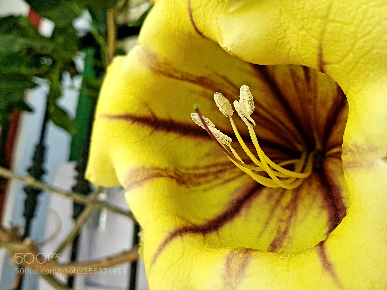 Samsung Galaxy S8 sample photo. Artiván photography