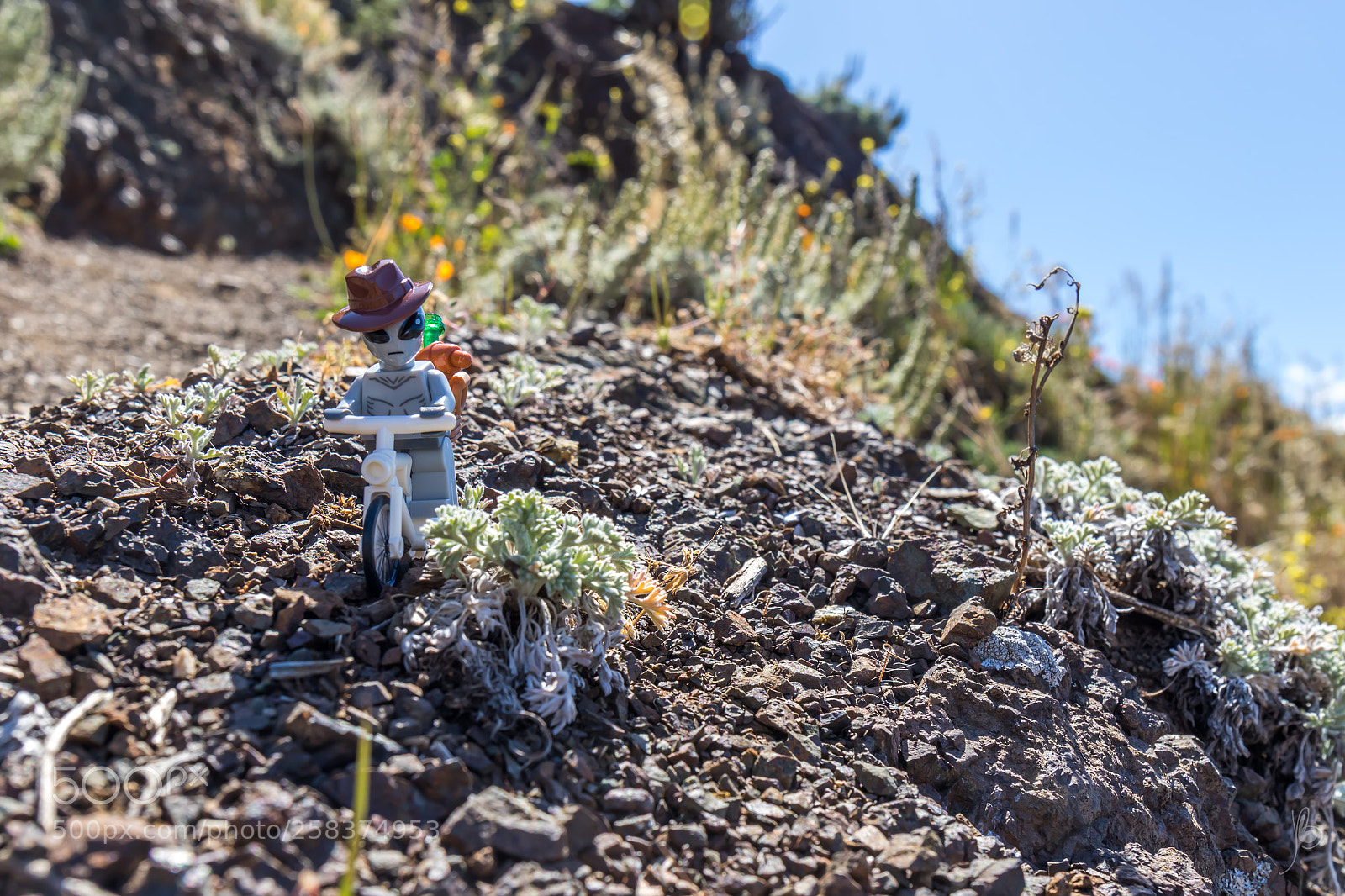 Canon EOS 7D Mark II sample photo. Alien on a bike photography