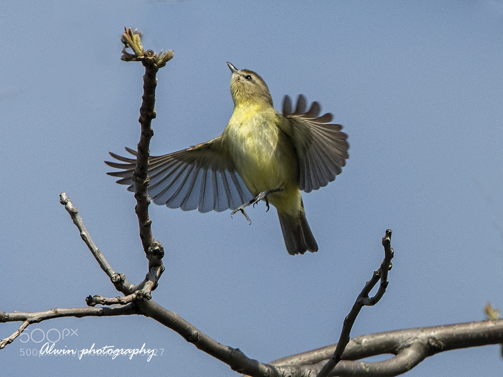 Canon EOS 5D Mark IV sample photo. Jump photography