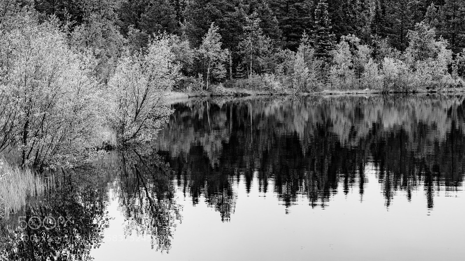 Sony a7R II sample photo. Lake. photography