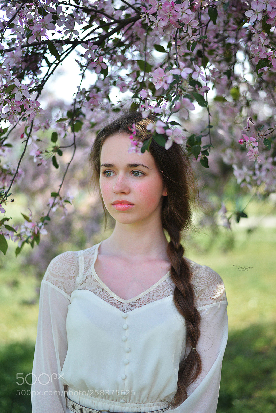 Nikon D610 sample photo. Alexandra photography