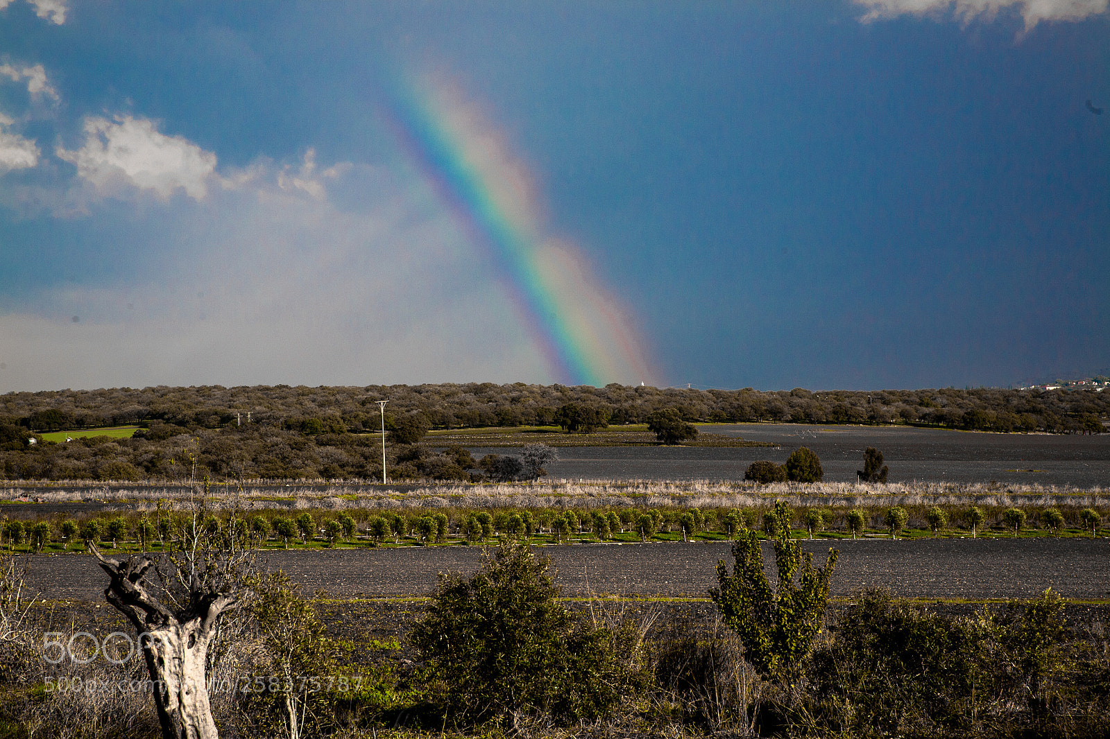 Canon EOS 5D sample photo. Refraction photography