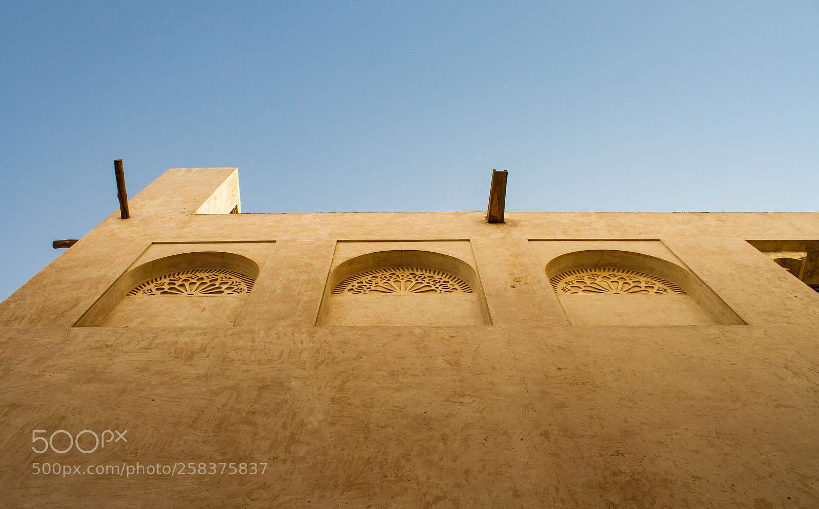 Canon EOS 7D sample photo. Looking up photography