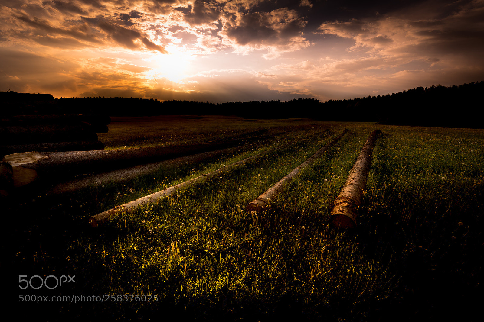 Canon EOS 5D Mark IV sample photo. The logs photography