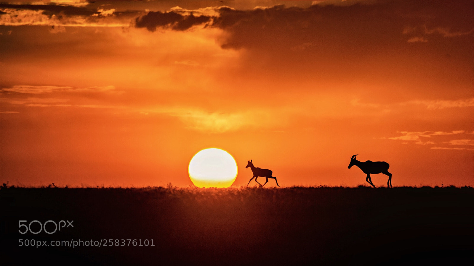 Sony a99 II sample photo. The dusk at masai photography