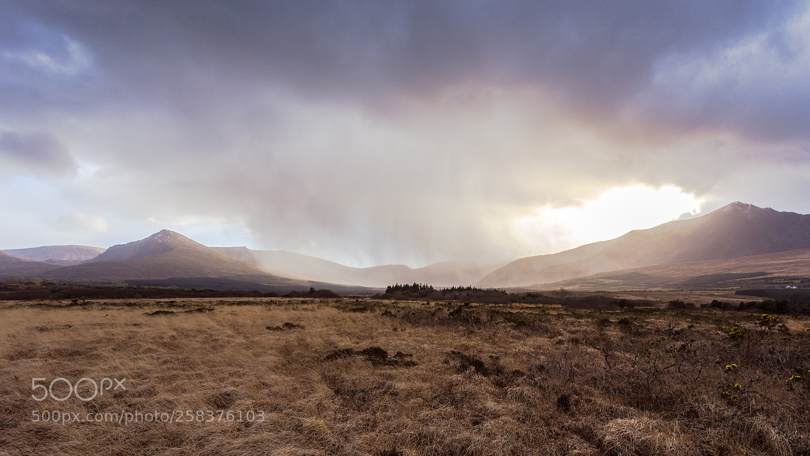 Canon EOS 6D sample photo. Ireland photography