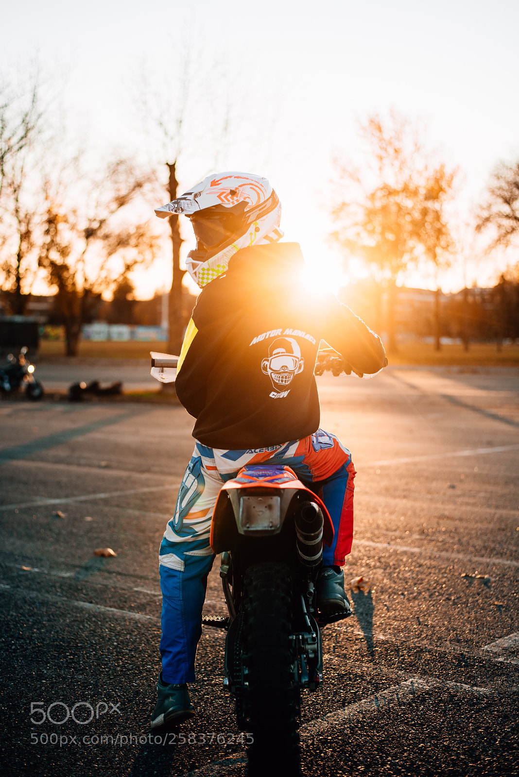 Nikon D750 sample photo. Sunlight photography