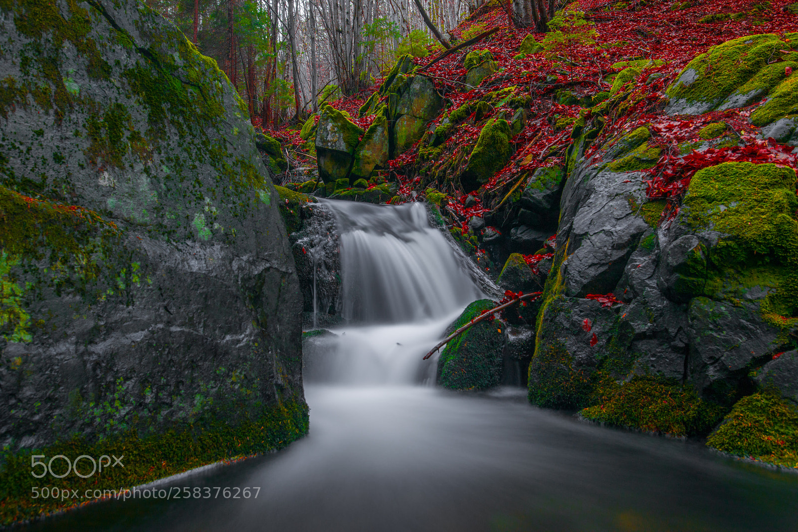 Nikon D810 sample photo. Waterfall photography